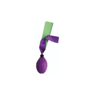 Brinquedo Bola de futebol Americano com fita Roxo -  Home Pet