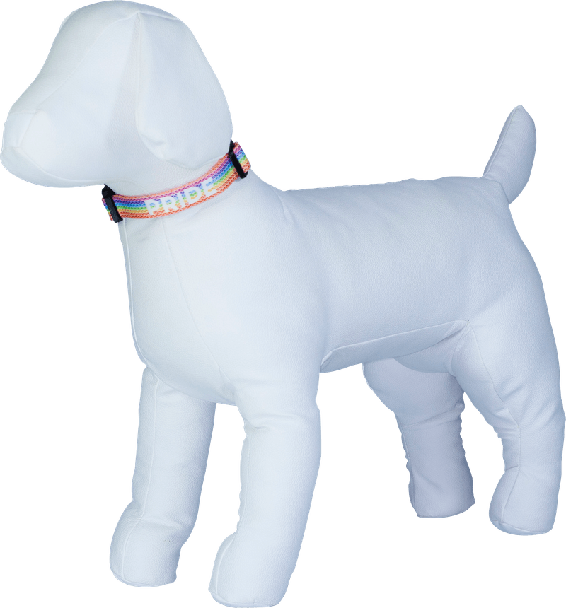 coleira-p-pride-number-one-01.png