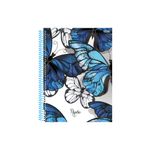 caderno-universitario-papilio-10-materias-160-folhas-1-un-sortidos-sao-domingos-02