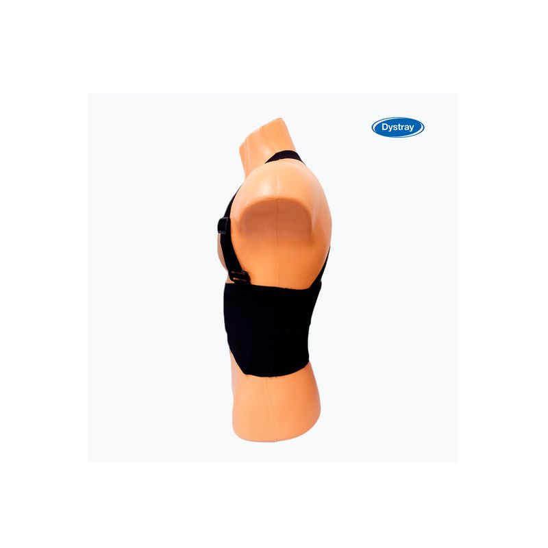 cinta-ergonomica-flex-xg-dystray-02