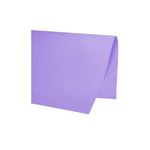papel-color-set-liso-48-x-66-cm-lilas-c-20-fls-crepfest-01