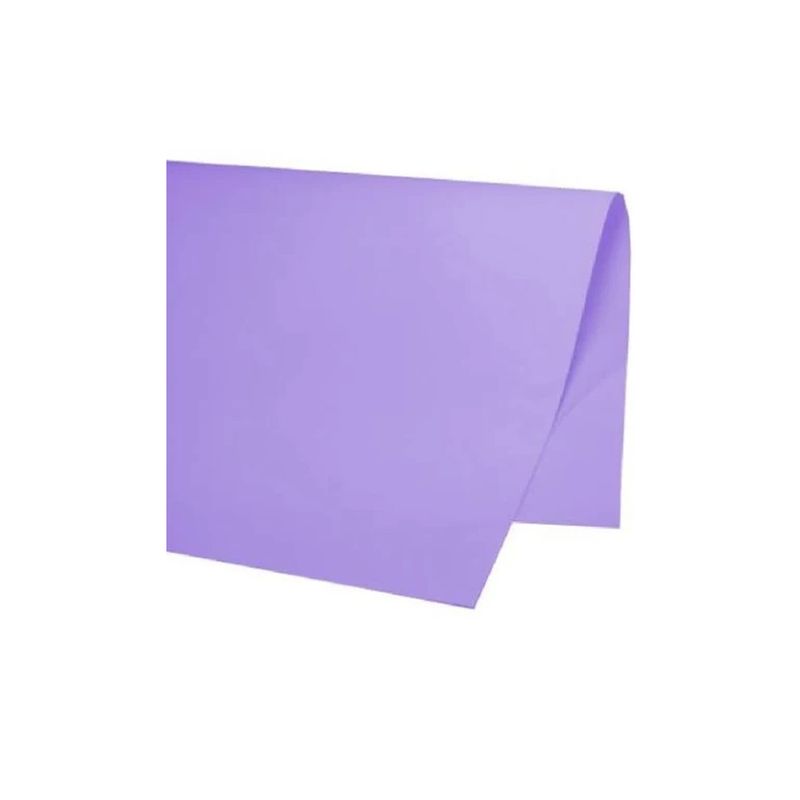 papel-color-set-liso-48-x-66-cm-lilas-c-20-fls-crepfest-01