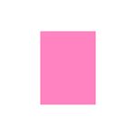 color-set-fluor-rosa-48x66-c-20-fls