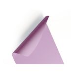 eva-folha-cor-40x60cm-lilas-pct-10f