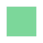 placa-eva-40x60cm-pc-c-10-verde-claro