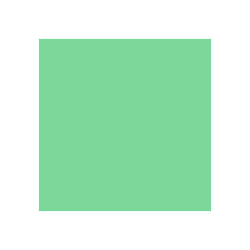 placa-eva-40x60cm-pc-c-10-verde-claro
