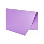 color-set-lilas-66x48-c20-fls-ridet