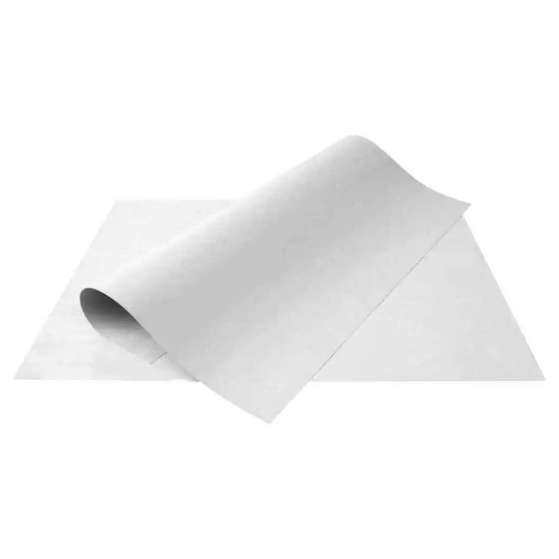 cartolina-66x50-1rl-branco-ridet