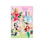 caderno-brochura-capa-dura-14-princesas-80f-tilibra-02