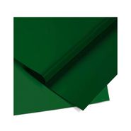 Papel Color Set Verde Escuro 66 x 48cm Com 20 Unidades - Ridet