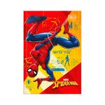 cad-broch-cd-14-spider-man-48f-tilibra-02