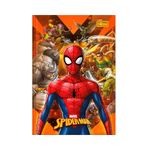 cad-broch-cd-14-spider-man-48f-tilibra-04