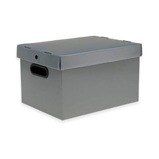 Caixa Organizadora Prata Grande - Polycart