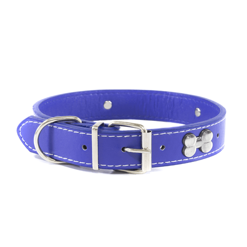 coleira-com-osso-m-colors-the-pets-bra-01.png