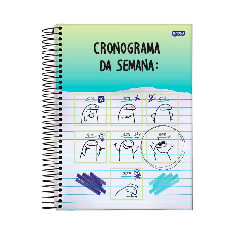 caderno-esp-univ-cd-1x1-80fls-flork-fsc-04