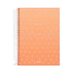 caderno-esp-univ-cd-10x1-160fls-dots-spots-01