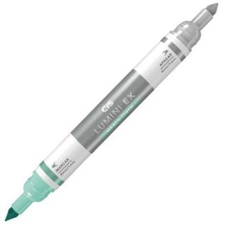 Marca Texto Apagável Lumini Ex Verde Blister
